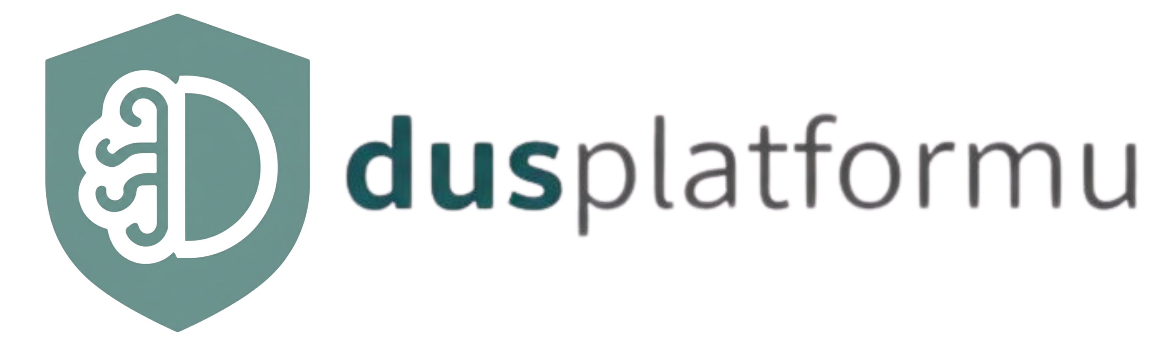 dusplatformu.com